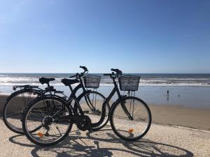 Jízda na kole v ubytování Un cocon zen les pieds dans l'eau à Hardelot nebo okolí