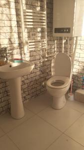 La salle de bains est pourvue de toilettes et d'un lavabo. dans l'établissement Chveni Ezo, à Ambrolaouri