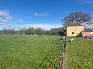 a fence in the middle of a field with two cows at Common Farmhouse in Newark-on-Trent