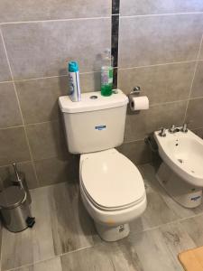 a bathroom with a white toilet and a sink at Alojamiento Ruca Wenüy dpto 03 in San Carlos de Bariloche +13 photos