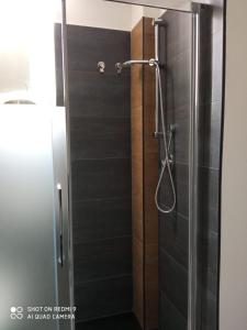 La salle de bains est pourvue d'une douche avec une porte en verre. dans l'établissement Metro Station Mini Van CAPSULA House, à Turin
