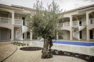 Fotografie z fotogalerie ubytování Villa Luka Lopar v destinaci Lopar + 48 fotografií