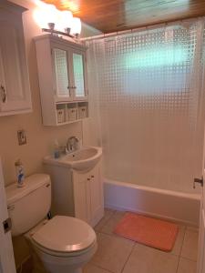 a bathroom with a toilet and a sink and a shower at Hidden quiet gem close to everything!!! in Sarasota