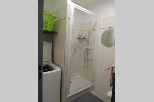 un baño con ducha y WC en Petit Paradis a Saint Mandrier 1 chambre plage à 4 mn CLIM Parking Wifi, en Saint-Mandrier-sur-Mer 40 fotos más