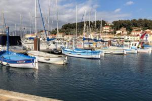 Un montón de barcos atracados en un puerto en Petit Paradis a Saint Mandrier 1 chambre plage à 4 mn CLIM Parking Wifi, en Saint-Mandrier-sur-Mer