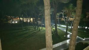 Zahrada ubytování Scauri resort
