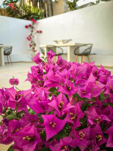 Fotografie z fotogalerie ubytování Inas House Santorini v destinaci Karterados + 26 fotografií
