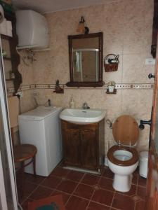 a bathroom with a sink and a toilet and a mirror at Casa Canaria Tejeda in Tejeda