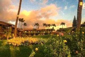 Mahina Surf外面的花园