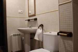 a small bathroom with a toilet and a sink at Apartamentos NOGUERA de ALBARRACÍN in Noguera de Albarracin