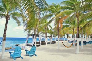 una spiaggia con sedie blu, palme e l'oceano di Cozumel Hotel & Resort a Cozumel