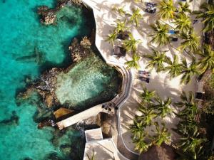 科苏梅尔Cozumel Hotel & Resort的棕榈树环绕的海滩道路的鸟瞰图