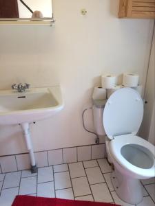łazienka z toaletą i umywalką w obiekcie Fru Hald w mieście Løkken
