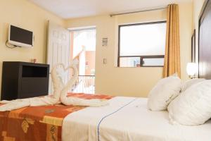 TV a/nebo společenská místnost v ubytování Hotel Posada Guadalupe