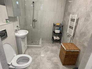 Jolie Luxury Apartments II في تيميشوارا: حمام مع مرحاض ومغسلة ودش