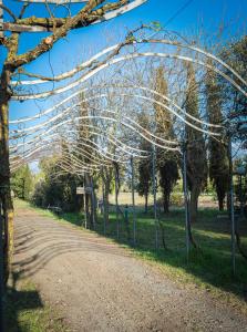 Kép Agriturismo Le Biricoccole szállásáról Vadában a galériában
