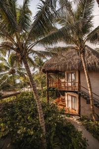 Zahrada ubytování Encantada Tulum