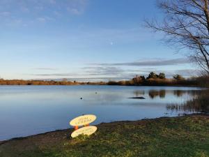 two surfboards sitting on the shore of a lake at Nuthatch Lodge in Kings Lynn