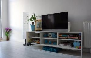 Televízia a/alebo spoločenská miestnosť v ubytovaní Apartment Studio BOSSANOVA