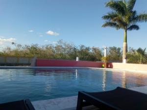 a swimming pool with a palm tree in the background at Hotel Real Zaci in Valladolid