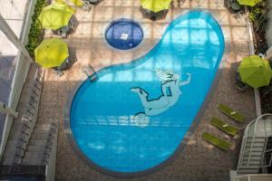 an overhead view of a swimming pool with a seal on it at Mision Pachuca in Pachuca de Soto