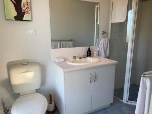 a bathroom with a toilet and a sink and a shower at Kangaroo Island Cabins in Kingscote