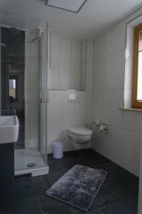 a bathroom with a shower and a toilet and a sink at Gästehaus Familie John in Veitsbronn