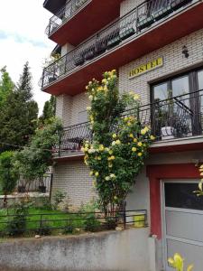 a bush with yellow flowers on the side of a building at Smeštaj - sobe MARVEL in Niš