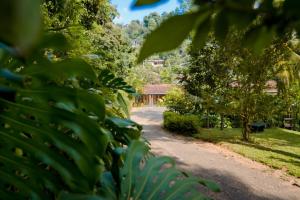 Zahrada ubytování Clove Garden Kandy