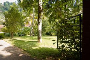 Zahrada ubytování Clove Garden Kandy