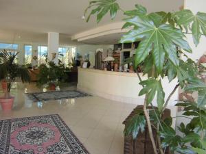 un vestíbulo con una planta en el medio en Hotel Europa Park en Lido di Spina
