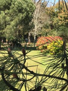 a view of a garden with plants and flowers at le 25 l'océan in Saint-Hilaire-de-Riez