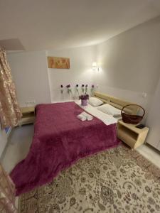 a bedroom with a large bed with a purple blanket at Apartment Studio on Bucuresti 9/1 in Chişinău