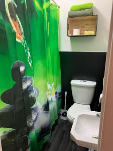 baño con aseo y cortina de ducha verde en Gestion clin d’oeil - 505, en La Tuque