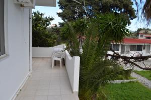 Taman di luar Artemis Studios - Pool and garden