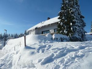 ein schneebedecktes Haus mit einem Weihnachtsbaum in der Unterkunft Apartment Jüngst in Winterberg
