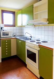 a kitchen with green cabinets and a stove top oven at Stuga Ekesberget Stugby in Ekshärad