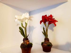 Fotografia z galérie ubytovania APARTAMENTO CORTADURA BEACH v destinácii Cádiz