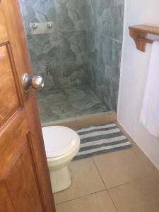 a bathroom with a toilet and a shower at Villas Casa Carlos in La Abuela +13 photos