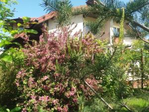 ピアセチュノにあるDomowe Zalesieのピンクの花の家