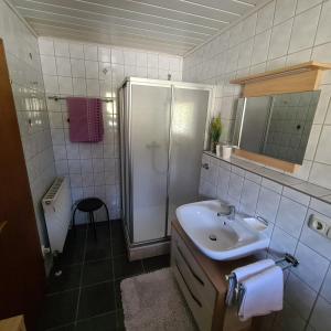 La salle de bains blanche est pourvue d'un lavabo et d'une douche. dans l'établissement Stoahauerhof, à Grainet