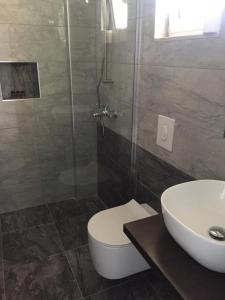 a bathroom with a shower and a toilet and a sink at Guest house Plazhi Dhermi in Dhërmi