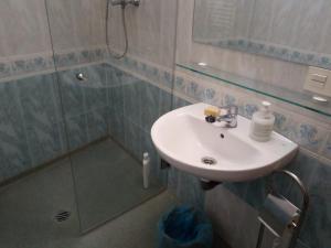 La salle de bains est pourvue d'un lavabo et d'une douche. dans l'établissement La Casa de la Callejuela, à Riaza