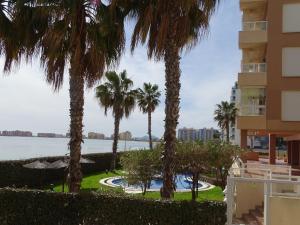a view of the water and palm trees from a building at Apartamentos Punta Cormorán in La Manga del Mar Menor