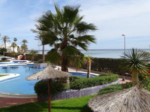 un complejo con una palmera y una piscina en Apartamentos Punta Cormorán, en La Manga del Mar Menor