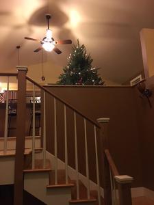 グレート・バリントンにあるNEW LISTING SPECIAL SAVE 10 Impeccable House Minutes from Downtown Great Barringtonの階段上に座るクリスマスツリー