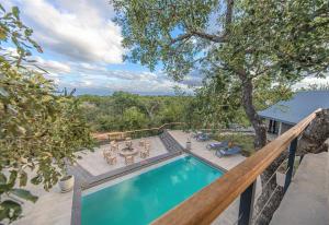 an overhead view of a swimming pool on a balcony with trees at Little Kubu Lodge in Hoedspruit