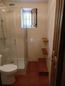 a bathroom with a shower and a toilet at Moinho da Cruz in Ponte de Lima