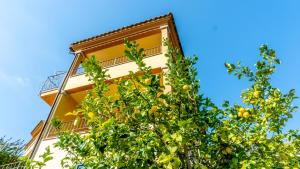 Gallery image of Appartamenti Dodi LT - PMS CaseVacanze in Budoni