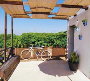Jízda na kole v ubytování Hotel Jardin Mahahual nebo okolí